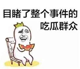 吃瓜群众宋掌柜视频在线观看,揭秘娱乐圈幕后故事