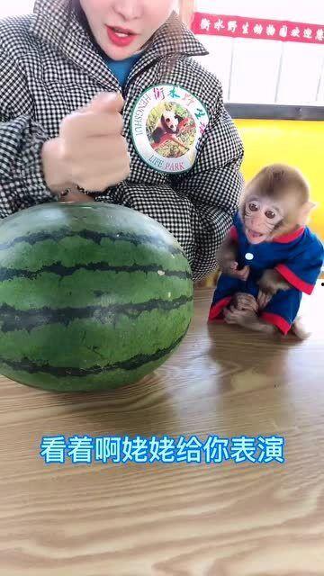姥姥做的吃瓜视频大全集,吃瓜视频大全集，笑料横生，回味无穷