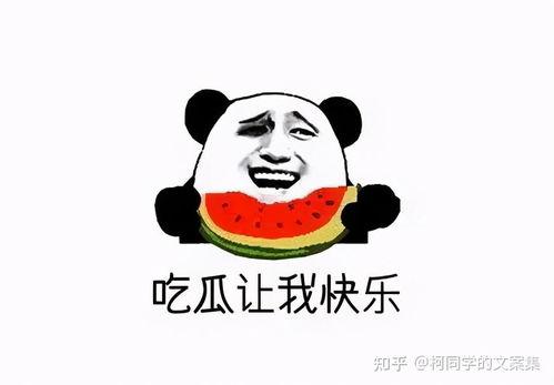 吃瓜小子视频文案搞笑,吃瓜小子的欢乐食瓜记