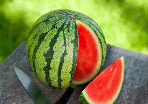 吃网纹瓜搞笑视频大全,网纹瓜搞笑视频大盘点