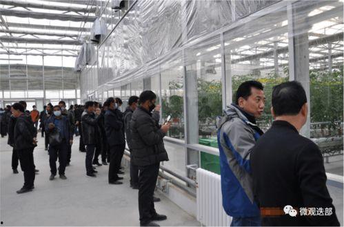 兰州新区吃瓜事件视频曝光,视频曝光引发社会关注