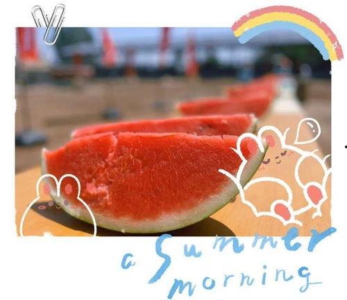 蛋仔大型吃瓜现场视频下载,视频揭秘幕后真相