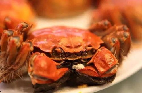 大瓜吃大螃蟹图片大全视频