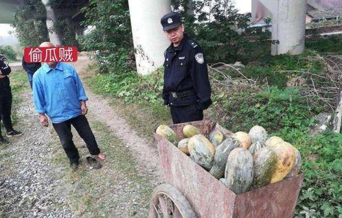 福山网红吃瓜事件真相视频