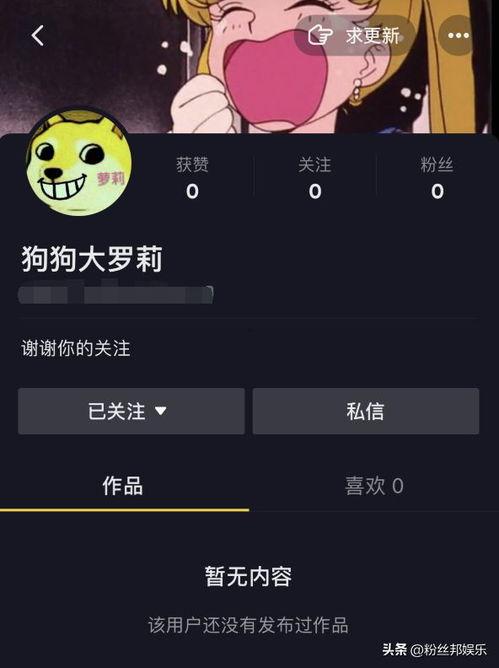 吃瓜摆烂视频在线观看网站,在线观看轻松解锁欢乐时光