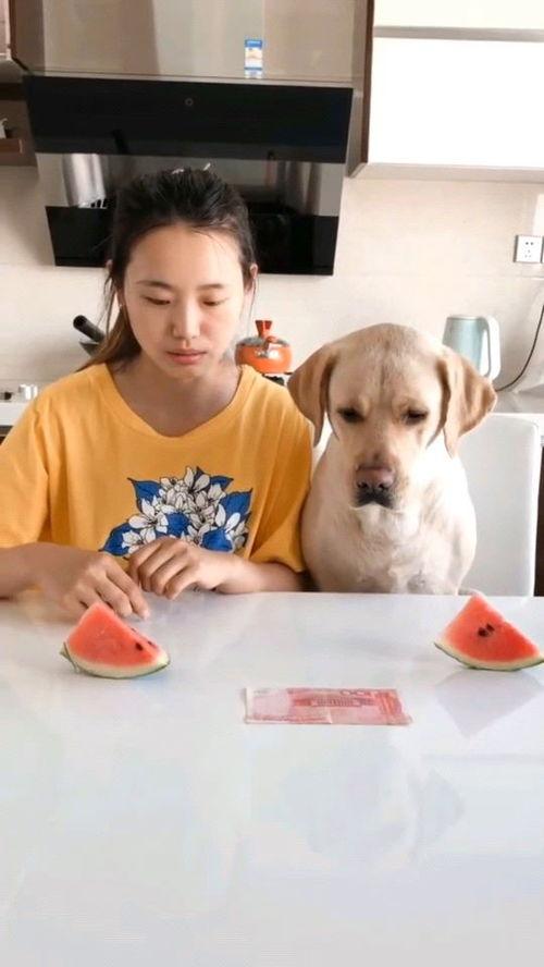 最近挺火的吃瓜视频,一场全民参与的娱乐盛宴