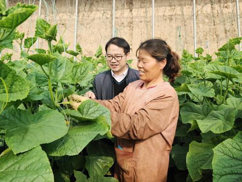 大棚吃瓜视频大全集播放,夏日消暑美食盛宴