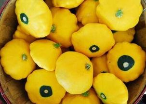 飞碟瓜怎么吃视频,跟随视频轻松学会