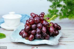 紫瓜种子可以吃吗视频,揭秘其食用价值与食用方法