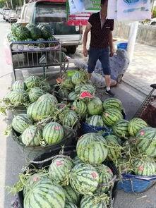 泰禾家园吃瓜事件视频,邻里纠纷视频曝光，真相引发热议