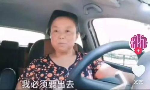 老阿姨默默吃瓜视频下载