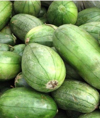 极品仙芋吃瓜视频下载