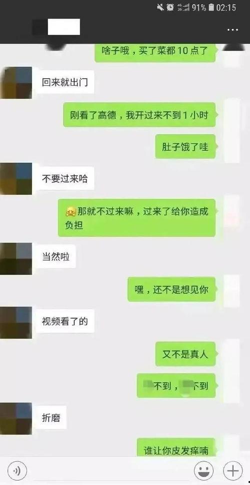 吃瓜视频聊天记录,一场关于娱乐圈的狂欢盛宴