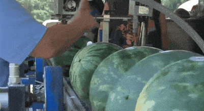 城市人吃瓜视频,揭秘都市生活里的娱乐热点与趣味瞬间