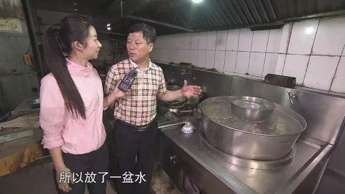 蒲城吃瓜事件视频播放,网络热议背后的真相与反思