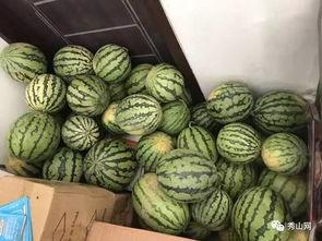 一妙吃瓜比赛视频,瓜王争霸，笑料横生！