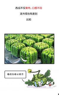 传播吃瓜视频多少违法,违法红线不容触碰