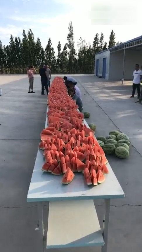 新疆人瓜地吃西瓜的视频,品尝甜蜜瓜果，感受西域风情